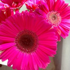 Buy 2+ items, get 15% off!